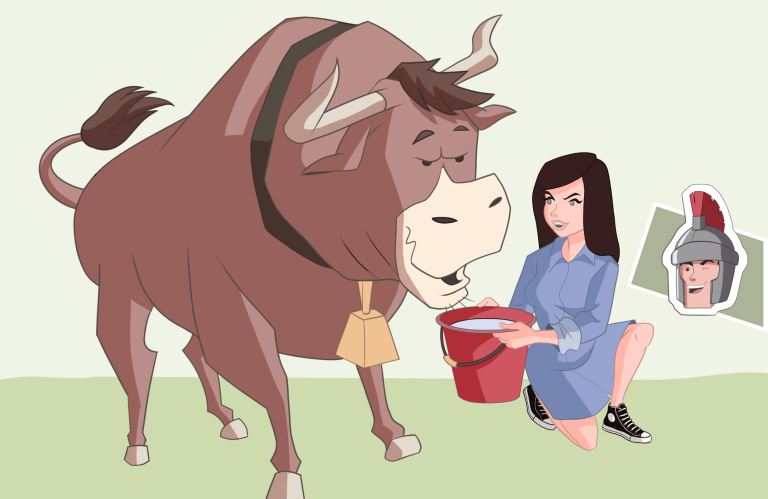 Woman giving bull water cartoon